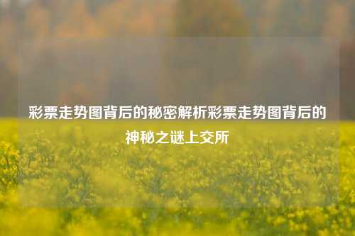 彩票走势图背后的秘密解析彩票走势图背后的神秘之谜上交所