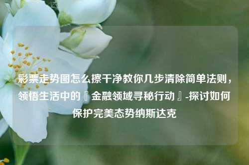 彩票走势图怎么擦干净教你几步清除简单法则，领悟生活中的『金融领域寻秘行动』-探讨如何保护完美态势纳斯达克