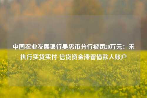 中国农业发展银行吴忠市分行被罚20万元：未执行实贷实付 信贷资金滞留借款人账户