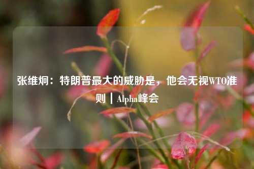 张维炯：特朗普最大的威胁是，他会无视WTO准则｜Alpha峰会