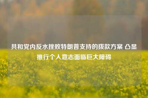 共和党内反水挫败特朗普支持的拨款方案 凸显推行个人意志面临巨大障碍