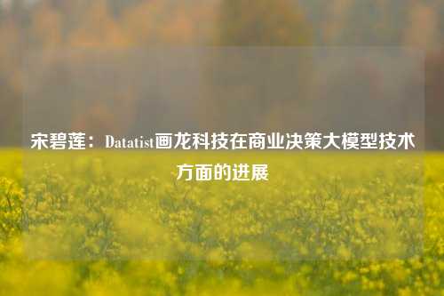 宋碧莲：Datatist画龙科技在商业决策大模型技术方面的进展