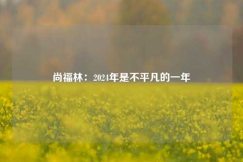 尚福林：2024年是不平凡的一年