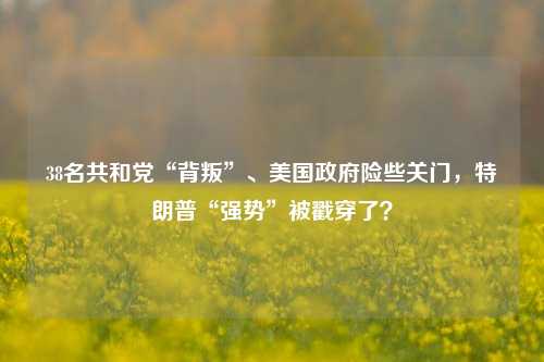 38名共和党“背叛”、美国政府险些关门，特朗普“强势”被戳穿了？