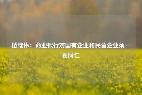 楼继伟：商业银行对国有企业和民营企业须一视同仁