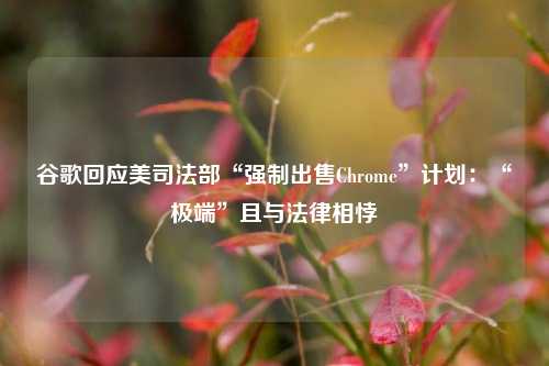 谷歌回应美司法部“强制出售Chrome”计划：“极端”且与法律相悖