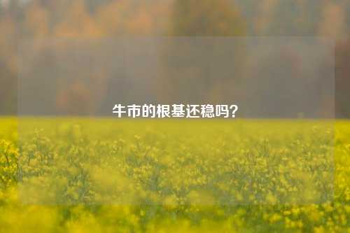 牛市的根基还稳吗？