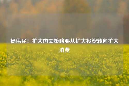 杨伟民：扩大内需策略要从扩大投资转向扩大消费